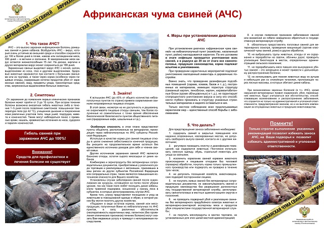 info2 1