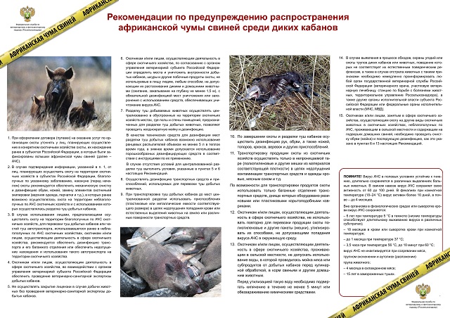 info3 1