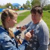 В Новопетровской продолжается акция "Георгиевская лента"