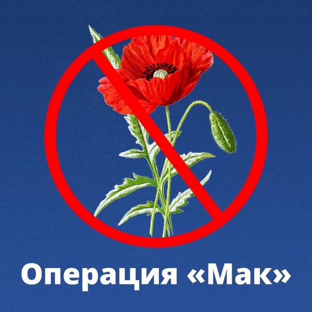foto 2024 07 19 11 10 001