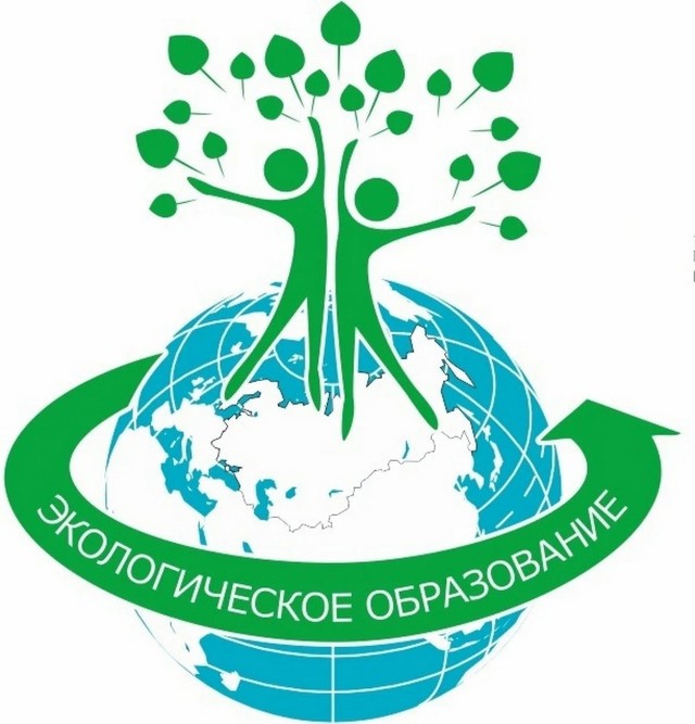 foto 2024 11 08 14 41 001