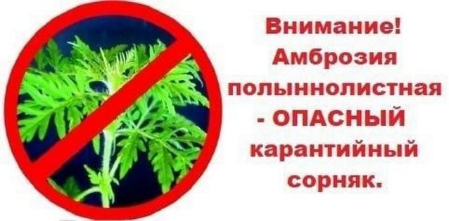 Информация для населения